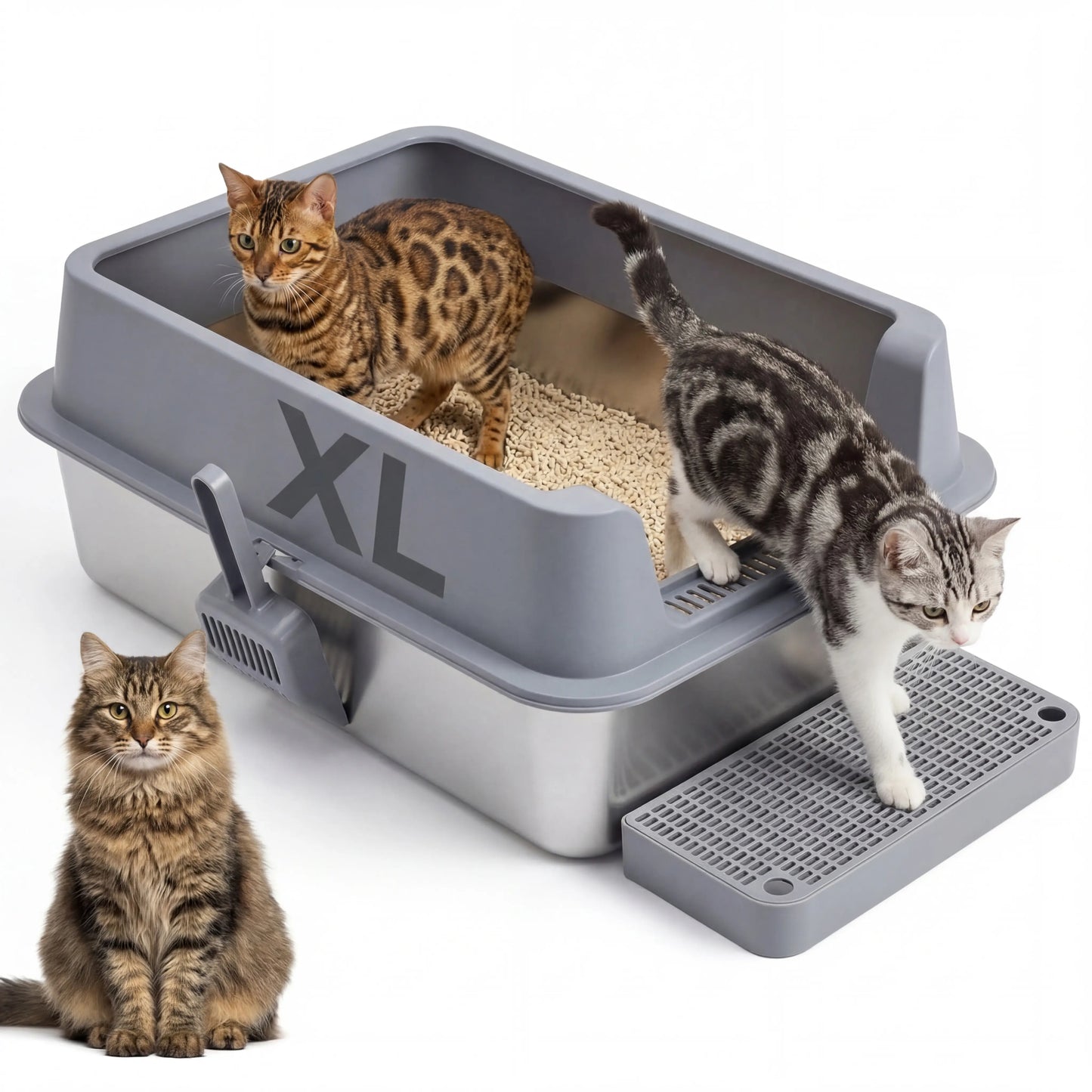 XL Stainless Steel Cat Litter Box 2-Pack – High-Sided & Easy Clean
