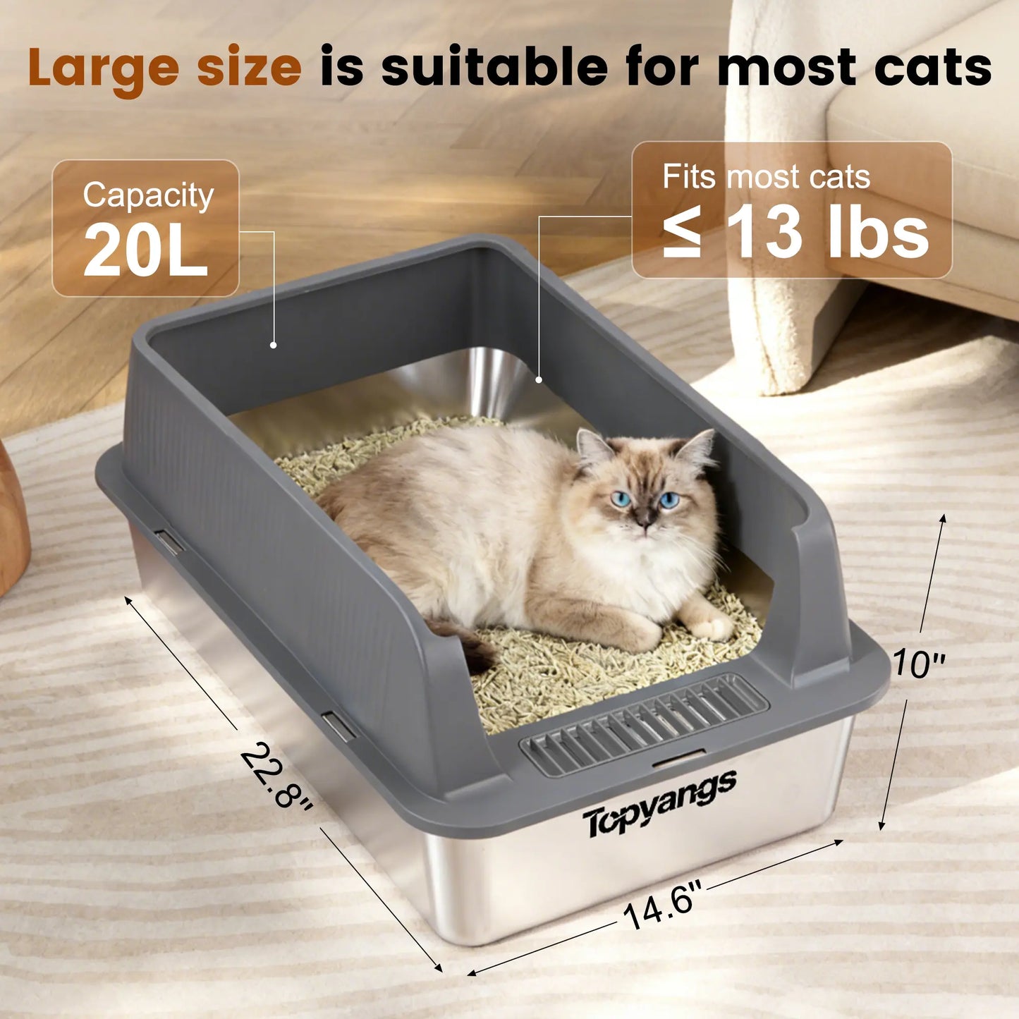 XL Stainless Steel Cat Litter Box 2-Pack – High-Sided & Easy Clean