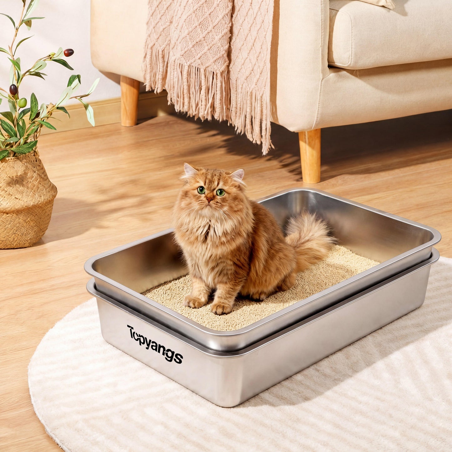 Topyangs XL Sifting Litter Box – Stainless Steel, Easy-to-Clean Catbox with High Sides
