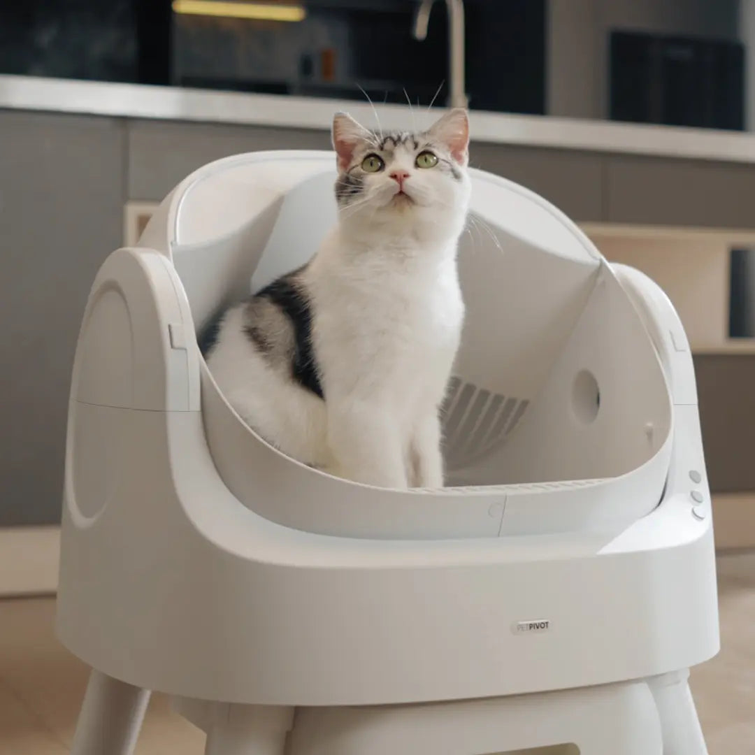 Self-Cleaning Cat Litter Box – Odor-Free & Hands-Free