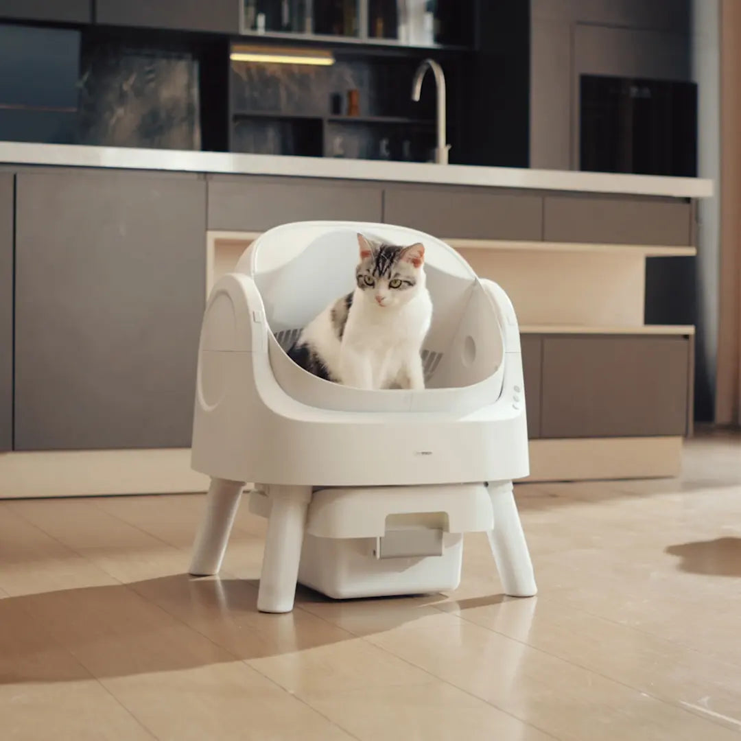 Self-Cleaning Cat Litter Box – Odor-Free & Hands-Free