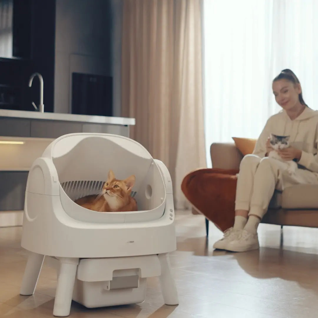 Self-Cleaning Cat Litter Box – Odor-Free & Hands-Free