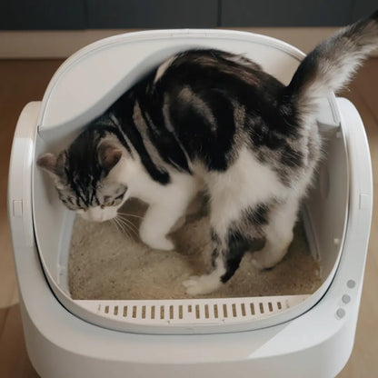 Self-Cleaning Cat Litter Box – Odor-Free & Hands-Free