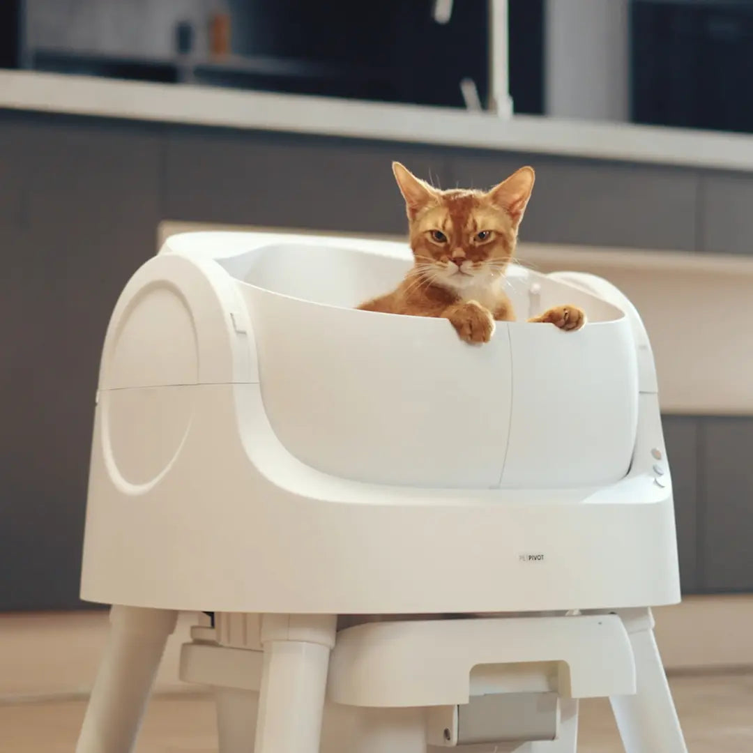 Self-Cleaning Cat Litter Box – Odor-Free & Hands-Free